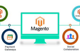 magento website developers