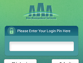 Webappmate Aaa Pi supporting visual on the Portfolio page