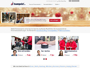 Webappmate Teamgeist Com supporting visual on the Portfolio page