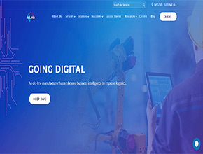 Vlinksmall supporting visual on the Portfolio page